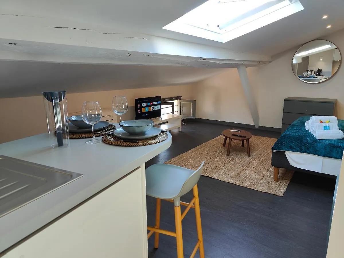 Apartment L'Envolee - Fibre - Clim - Centre-Ville Albi
